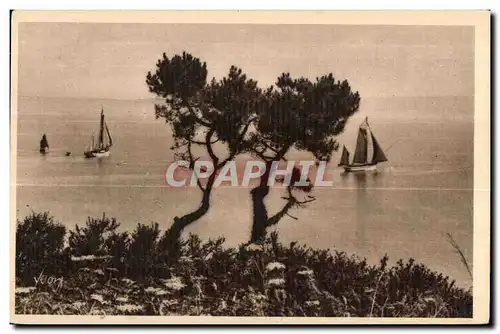 Cartes postales Bretagne Douarnenez (Finistere) Sortie de Thonniers