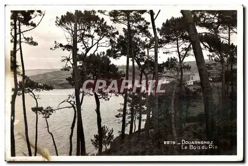 Cartes postales Douarnenez Le Bois du Pin