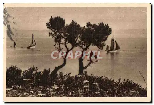 Cartes postales Bretangne Douarnenez (Finistere) Sortie de Thonniers