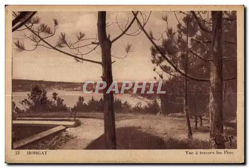 Cartes postales MorgatVue a travers les Pins