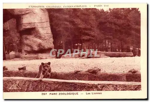 Ansichtskarte AK Parc Zoologique Les Lionnes Zoo Vincennes