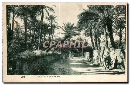 Cartes postales Algerie Dans La Palmeraie