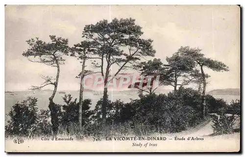 Ansichtskarte AK Dinard La Vicomte En Etude d Arbres