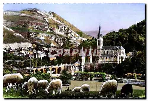 Cartes postales Lourdes La Basilique et le Pic du jer