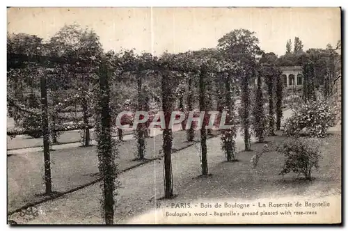 Ansichtskarte AK Paris Bois de boulogne La Roseraie de Bagatelie