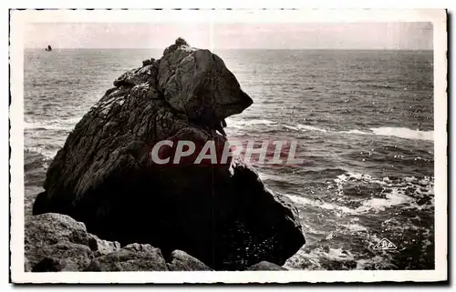 Cartes postales La Grande Cote Etude de Rochers L Ours Polaire Polar Bear