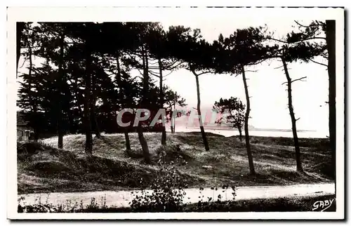 Cartes postales Pornichet Les Pins et Points vers Sainte Margurite