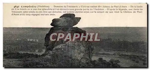 Ansichtskarte AK Campeneac Domaine de Trecesson Curieux rocher dit