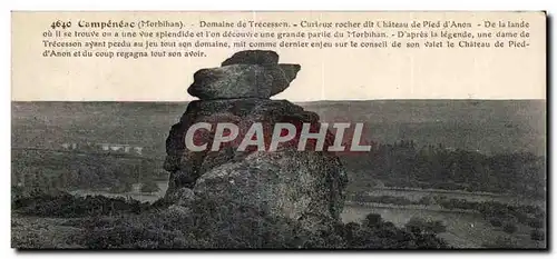 Cartes postales Campeneac Domaine de Trecesson Curieux rocher dit