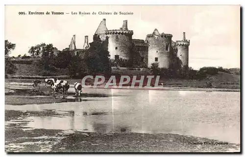 Ansichtskarte AK Environs de Vannes Les Ruines du Chateau de Succinio Vaches