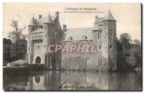 Cartes postales Chateaux de Bretagne Trecesson (Campeneac Morbihan)