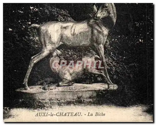 Cartes postales Auxi le Chateau La Biche