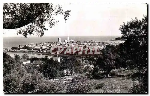 Cartes postales Antibes Vue generale a Travers les oliviers