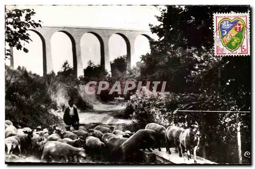 Ansichtskarte AK Neris les Bains Allier Viaduc de Perassier Berger et ses moutons