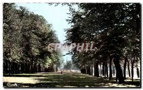 Cartes postales St Quentin Aisne Les Champs Elysees