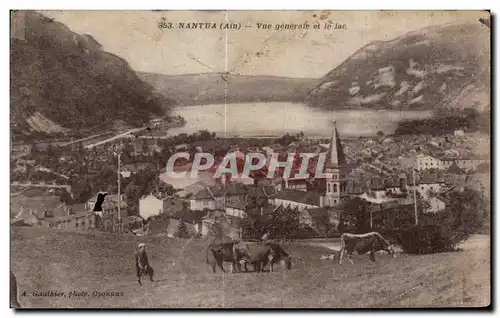 Cartes postales Nantua Ain Vue generale et le Lac