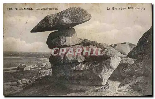 Cartes postales Tregastel Le Champignon