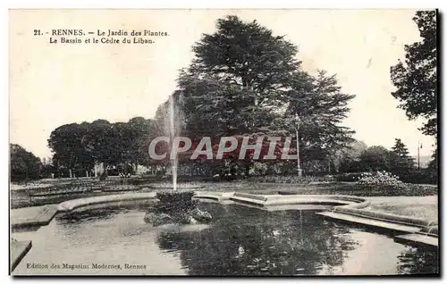 Cartes postales Rennes Le Jardin des Plantes Le Bassin et le Cedre du Liban