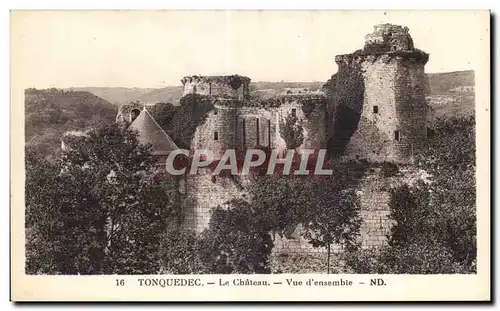 Cartes postales Tonquedec Le Chateau Vue d ensemble