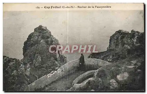 Cartes postales Cap Frehel Rocher de la Fauconniere