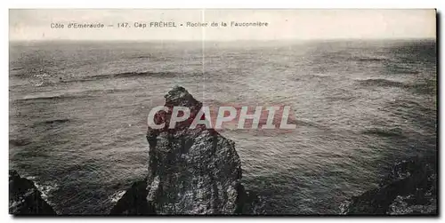 Cartes postales Cote d Emeraude Cap Frehel Rocher de la Fauconniere