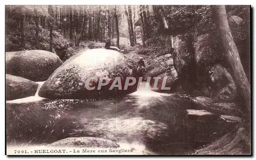 Cartes postales Huelgoat La Mare aux Sangliers