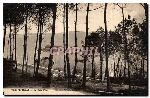 Cartes postales Treboul Le Bois d Isis