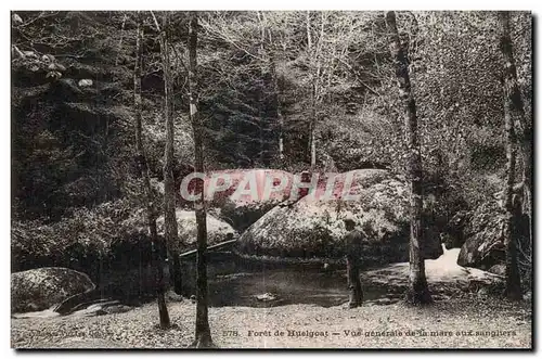 Cartes postales Foret de Huelgoat Vue generale de la mare aux sangliers