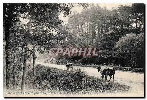 Cartes postales Route de Huelgoat a Carhaix Vaches