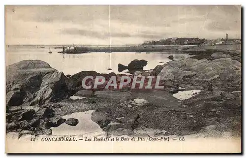 Cartes postales Concarneau Les Rochers et le Bois de Pin (Coat Pin)