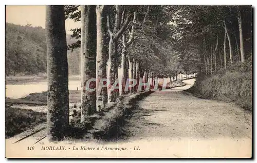 Ansichtskarte AK Morlaix La Riviere a I Armorique