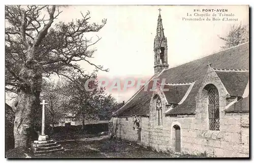 Ansichtskarte AK Pont Aven La Chapelle de Tremalo Promenades du Bois d Amour