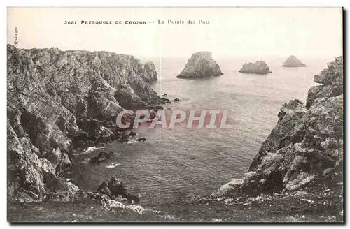 Cartes postales Presqu ile De Crozon La Pointe Des Pois