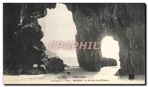 Ansichtskarte AK Bretagne Finistere Morgat La grotte des Olseaux