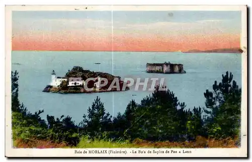 Cartes postales Baie de Morlaix Le Bois de Sapins de Pon a Lann