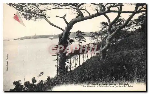 Ansichtskarte AK Cote d Emeraude Dinard La Vicomte Etude d arbres