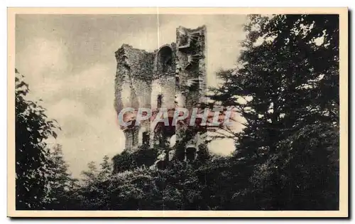 Cartes postales Saint Brieuc (Cotes du Nord) La Tour de Cesson (XIII siecle)