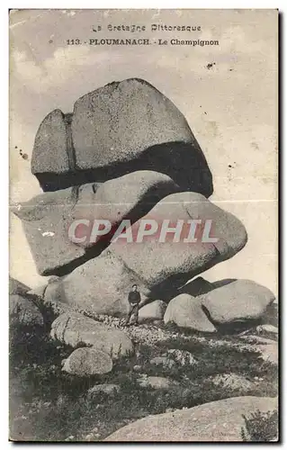 Cartes postales La Bretagne Pittorasque Ploumanach Le Champignon