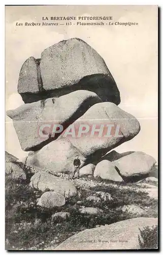 Cartes postales La Bretagne Pittoresque Les Rochers bizarres Ploumanach Le Champignon