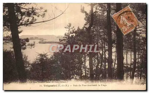 Cartes postales Tregastel Bois de Pins dominant la Plage