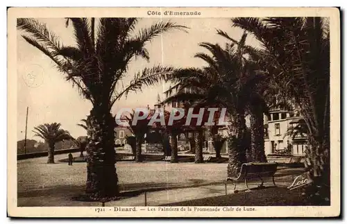 Cartes postales Dinard Les Palmiers de la Promenade Clair de Lune