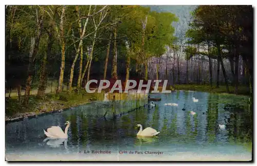 Cartes postales La Rochelle Coin du Parc Charruyer Cygne Swan