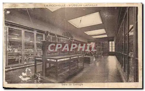 Cartes postales La Rochelle Museum Lafaille Salle de zooloie