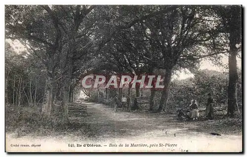 Cartes postales ILe d Oleron Bois de La Martiere pres St Pierre