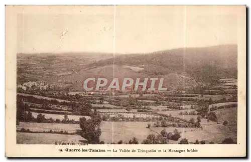 Cartes postales Quarre les Tombes La Vallee de Trinquelin et la Montagne brulee