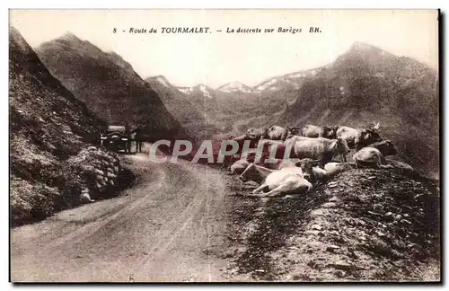 Cartes postales Route du Tourmalet La descente sur Bareges Vaches