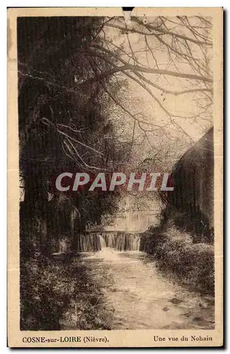 Cartes postales Cosne sur Loire (Nievre) une vue du Nohain