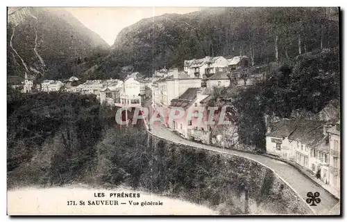 Ansichtskarte AK Les Pyrenees St Sauveur Vue generale