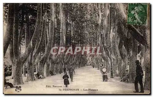 Ansichtskarte AK Perpignan Les Platanes