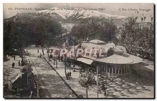 Cartes postales Perpignan Vue panoramique sur le Palmarium et le Canigou alt